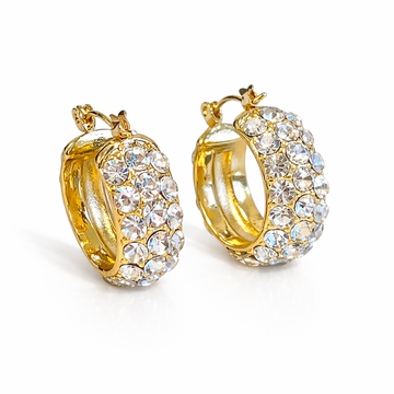 Sparkle Hoops Ohrringe